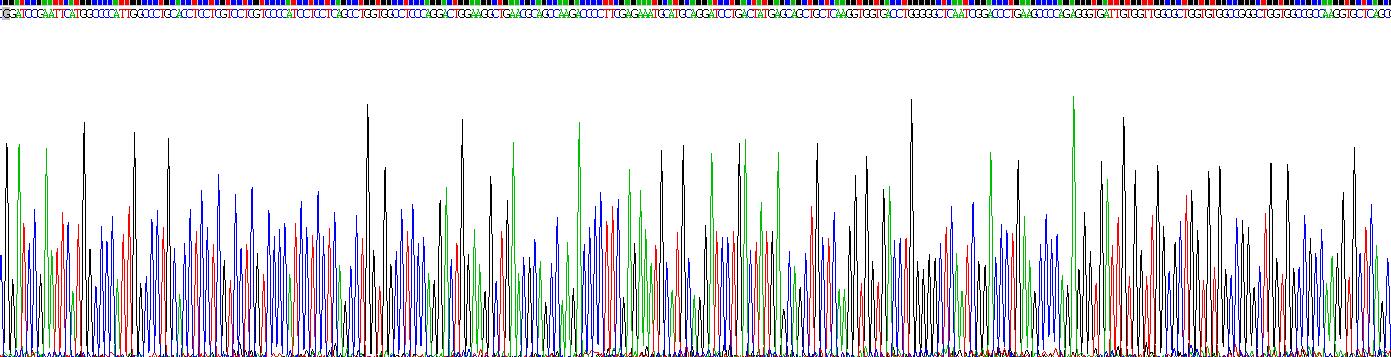 Recombinant Interleukin 4 Induced Protein 1 (IL4I1)