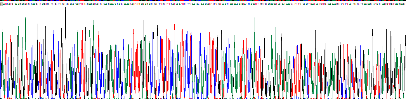 Recombinant Histidine Triad Nucleotide Binding Protein 1 (HINT1)