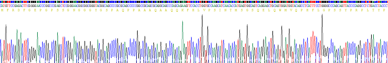 Recombinant FOS Like Antigen 1 (FOSL1)