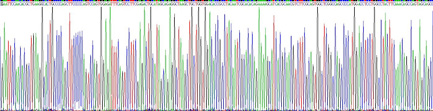 Recombinant Eosinophil Peroxidase (EPX)