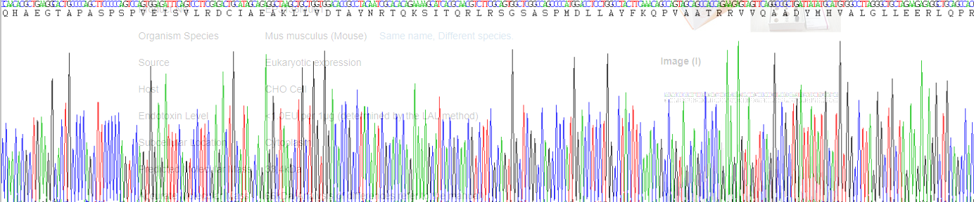 Recombinant Eosinophil Peroxidase (EPX)