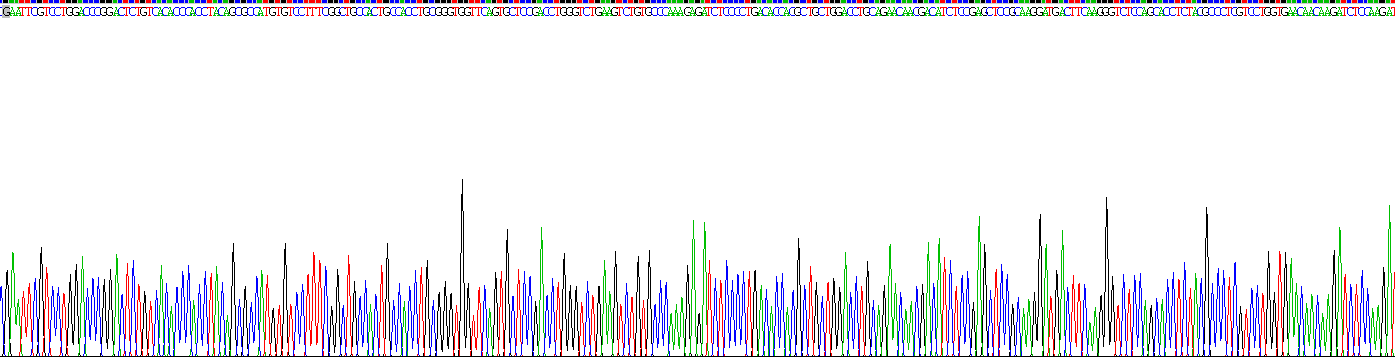 Recombinant Biglycan (BGN)