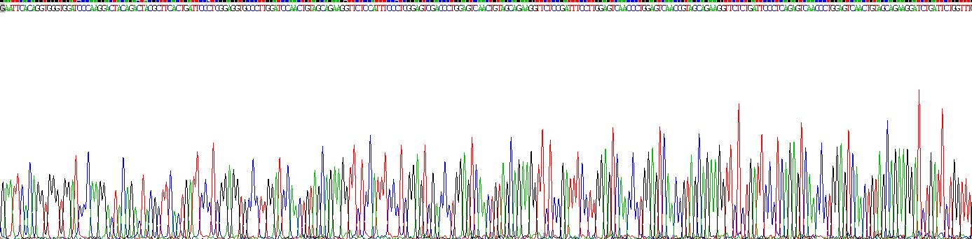 Recombinant Deleted In Malignant Brain Tumors 1 (DMBT1)