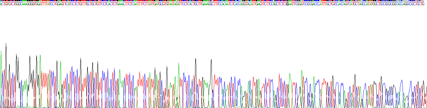 Recombinant Casein Beta (CSN2)