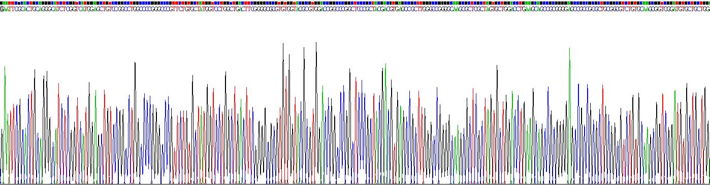 Recombinant Alpha-Methylacyl Coenzyme A Racemase (aMACR)