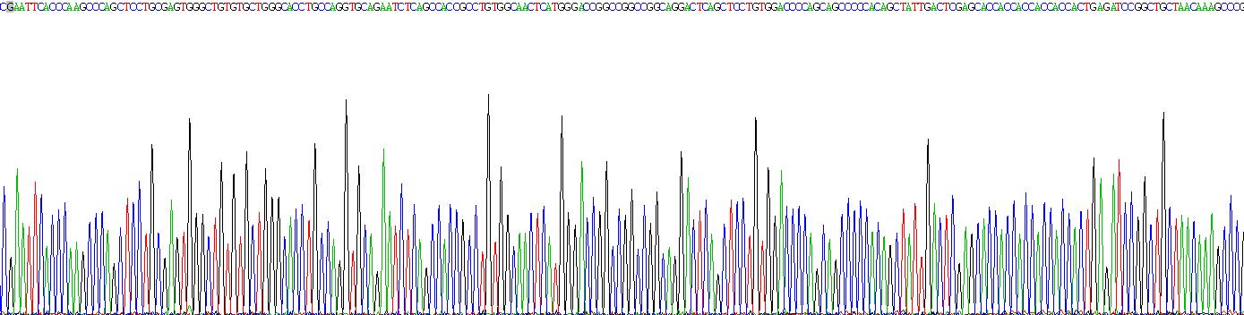 Recombinant Adrenomedullin 2 (ADM2)
