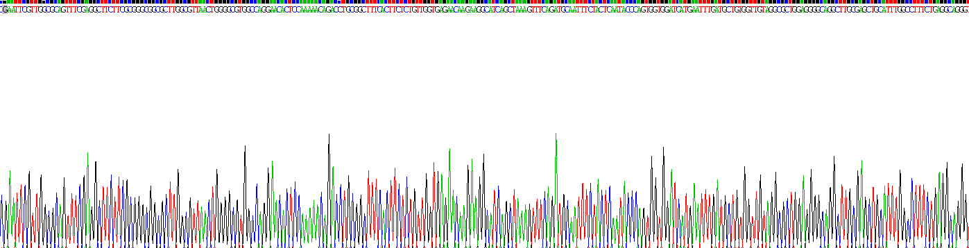 Recombinant Succinate Dehydrogenase Complex Subunit A (SDHA)