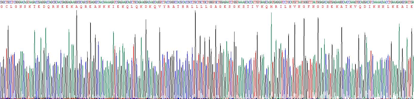 Recombinant G Protein Alpha Stimulating Activity Polypeptide 1 (GNaS1)