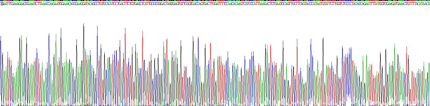 Recombinant Enhancer Of Zeste Homolog 2 (EZH2)