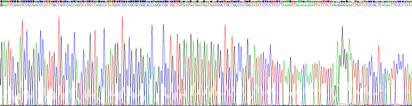 Recombinant Nodal Homolog (NODAL)