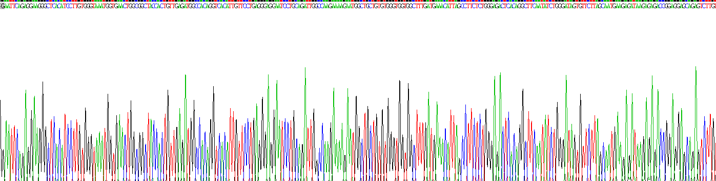 Recombinant Pentraxin 3, Long (PTX3)