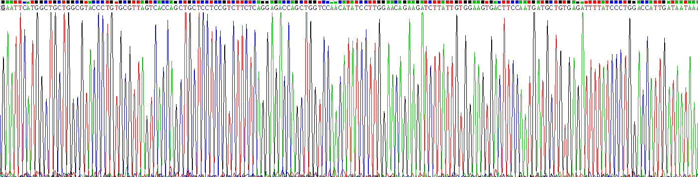 Recombinant Alpha And Gamma-Adaptin Binding Protein (aAgAB)