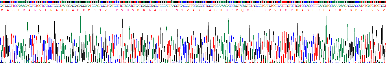 Recombinant Parkinson Disease Protein 7 (PARK7)