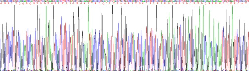 Recombinant Fibroblast Growth Factor 15 (FGF15)