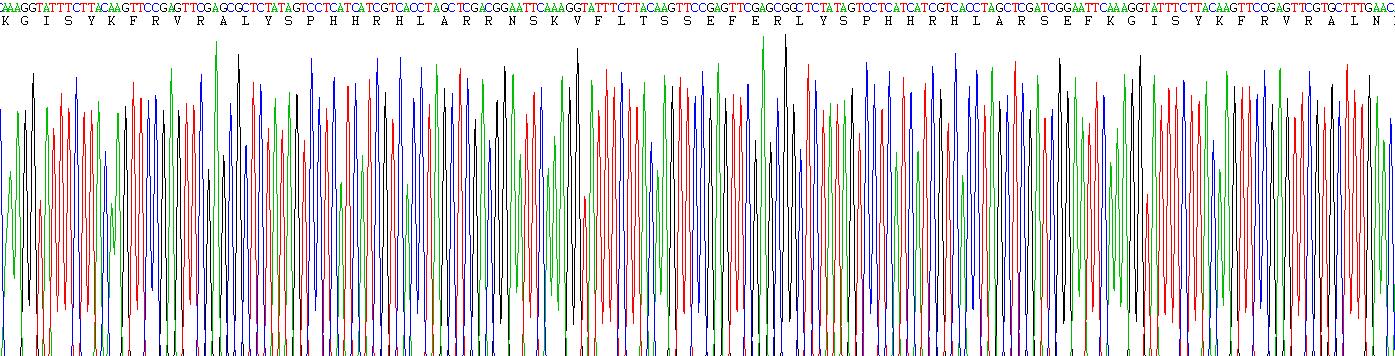 Recombinant Brother Of CDO Homolog (BOC)