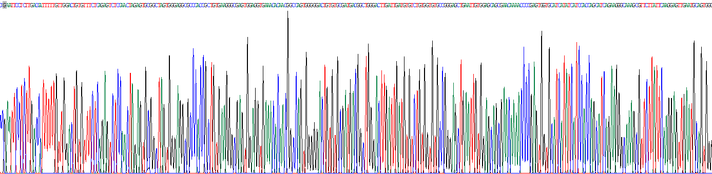 Recombinant CD5 Antigen Like Protein (CD5L)