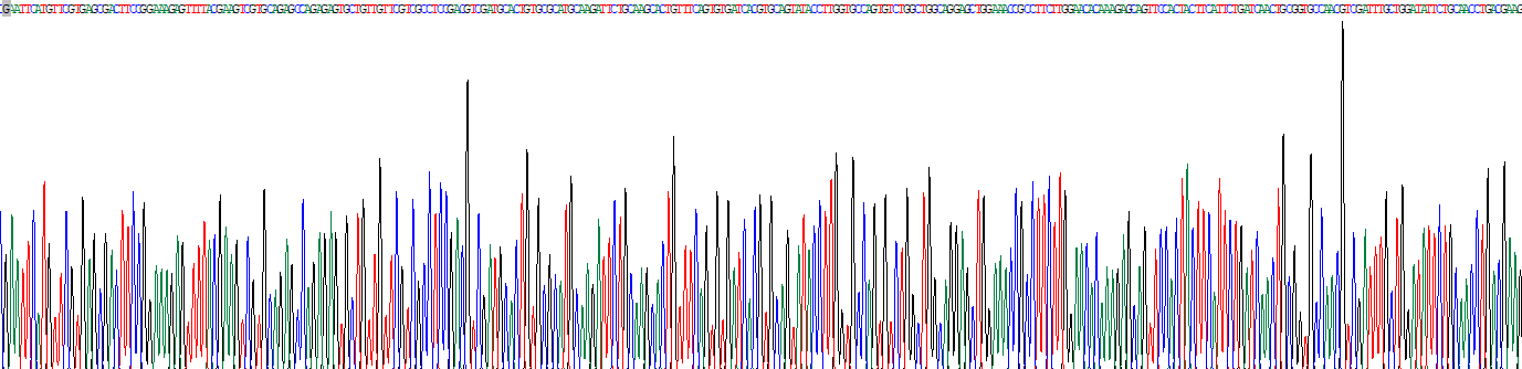 Recombinant Cell Division Cycle Protein 45 (CDC45)