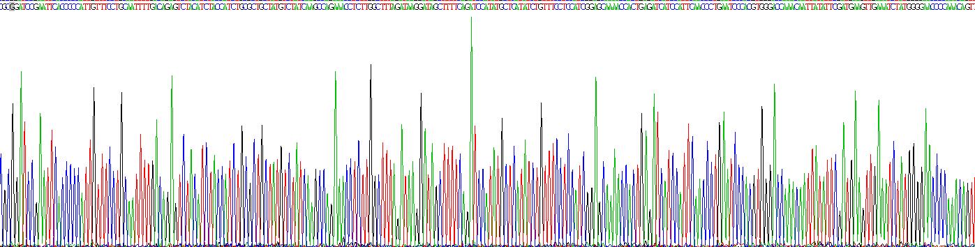 Recombinant Myoferlin (MYOF)