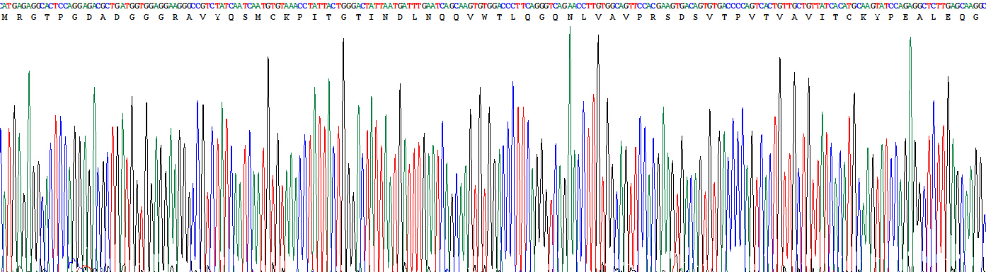 Recombinant Interleukin 1 Family, Member 9 (IL1F9)