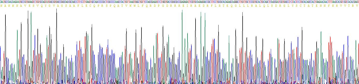 Recombinant Semaphorin 3F (SEMA3F)