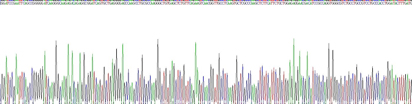 Recombinant R-Spondin 1 (RSPO1)