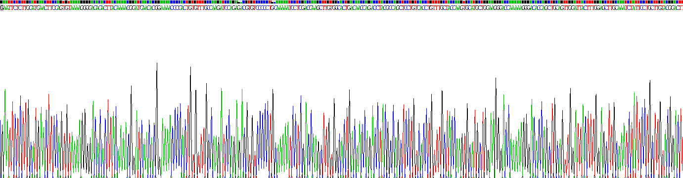 Recombinant SPARC Like Protein 1 (SPARCL1)