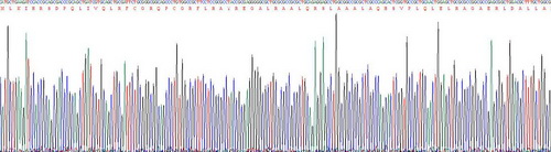 Recombinant TNFRSF1A Associated Via Death Domain Protein (TRADD)