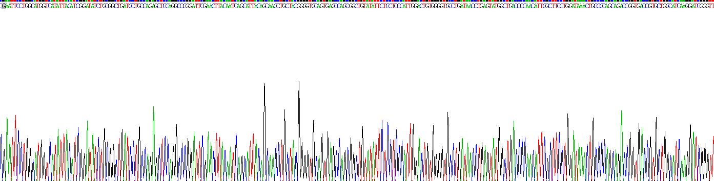 Recombinant Transmembrane Protein 173 (TMEM173)