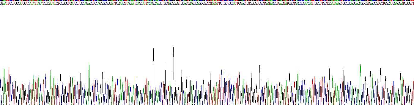 Recombinant Transmembrane Protein 173 (TMEM173)