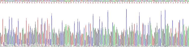 Recombinant Myeloid Derived Growth Factor (MYDGF)