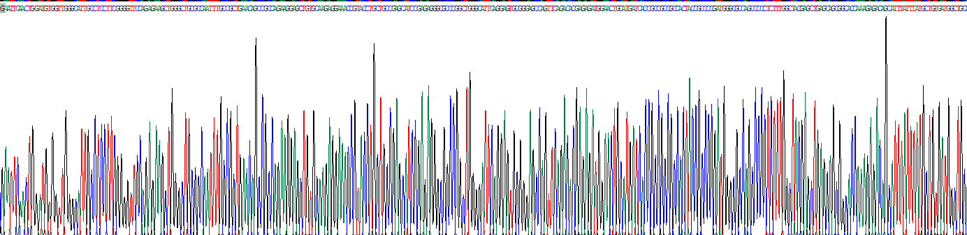 Recombinant Wingless Type MMTV Integration Site Family, Member 16 (WNT16)