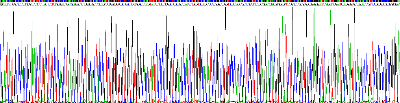 Recombinant Wingless Type MMTV Integration Site Family, Member 3A (WNT3A)