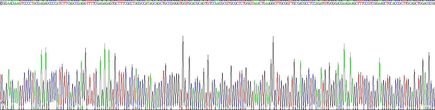 Recombinant Wingless Type MMTV Integration Site Family, Member 10A (WNT10A)