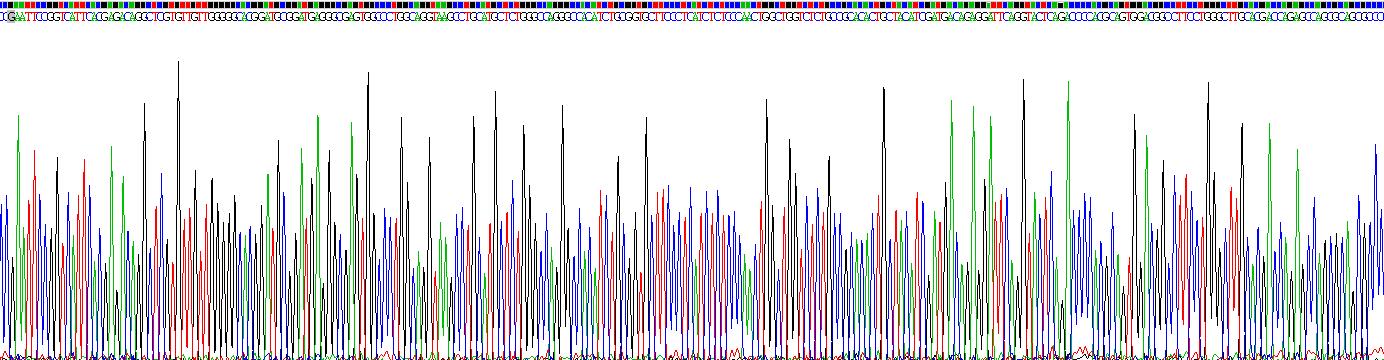 Recombinant Suppression Of Tumorigenicity 14 (ST14)