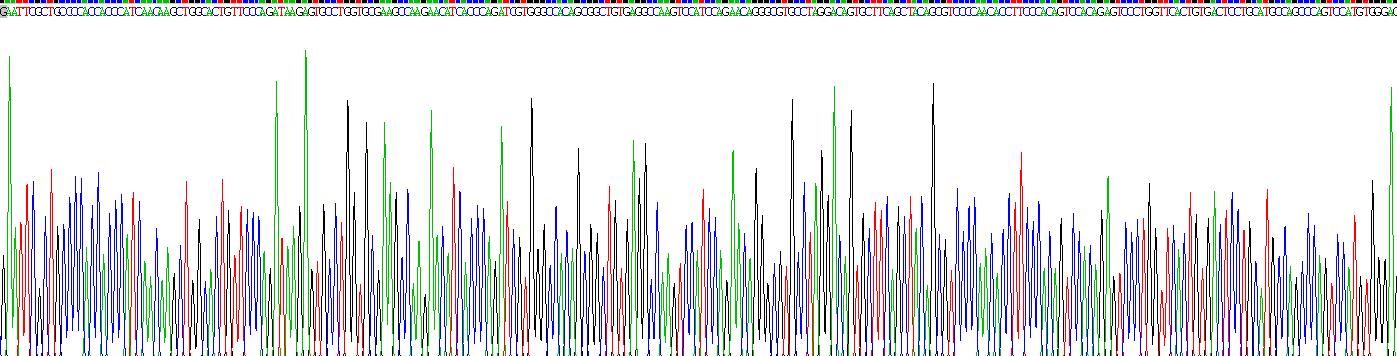 Recombinant Neuroblastoma, Suppression Of Tumorigenicity 1 (NBL1)