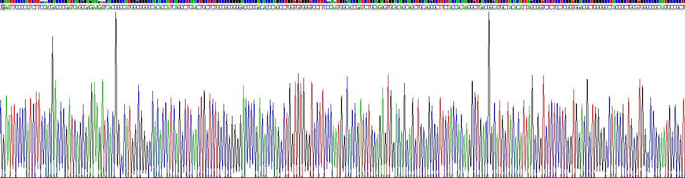 Recombinant Matrix Remodelling Associated Protein 5 (MXRA5)