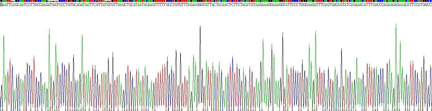 Recombinant Mucin 13, Cell Surface Associated (MUC13)