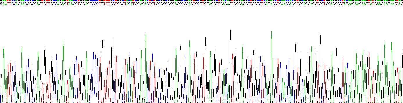 Recombinant Keratin 81 (KRT81)