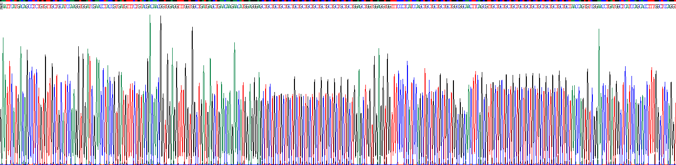Recombinant Homeobox Protein A13 (HOXA13)