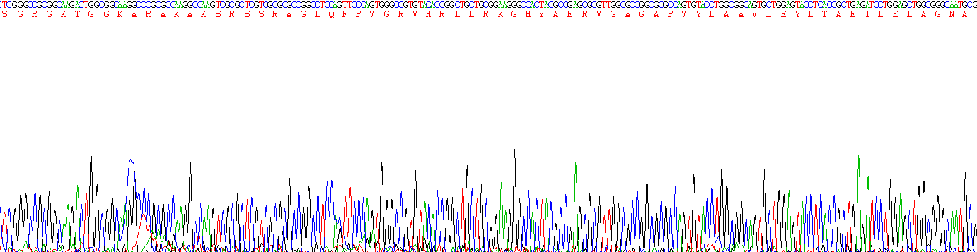 Recombinant H2A Histone Family, Member X (H2AFX)