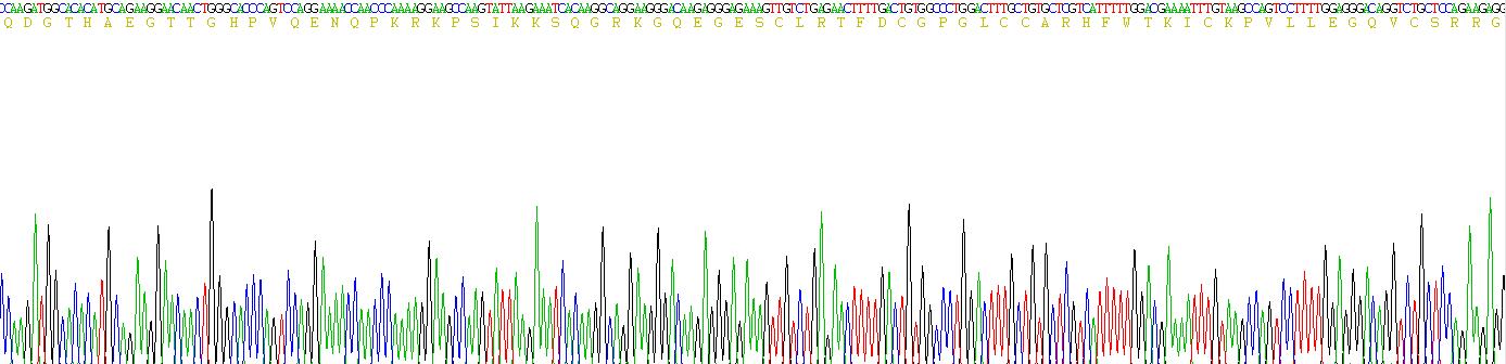 Recombinant Dickkopf Related Protein 4 (DKK4)