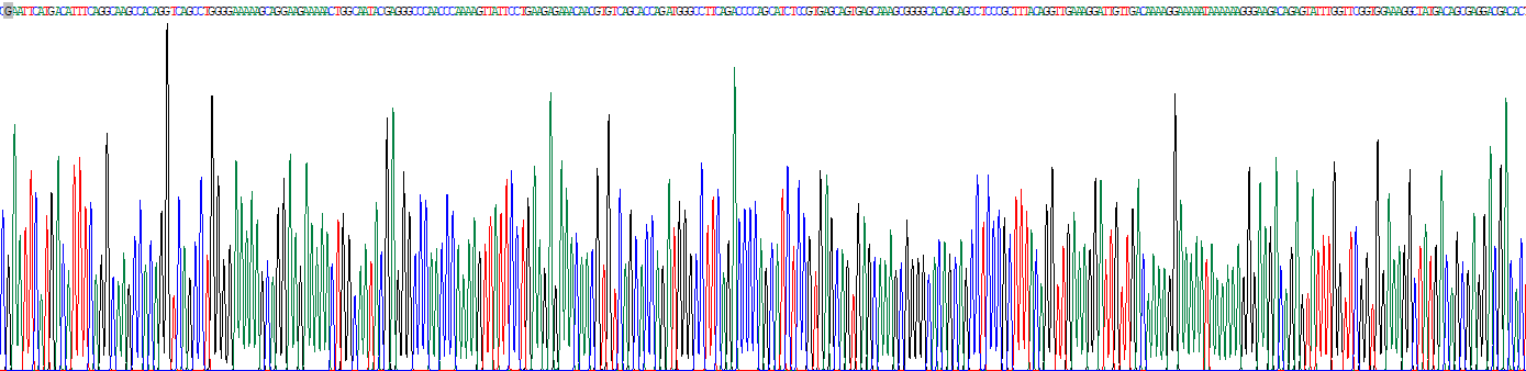 Recombinant Chromodomain Protein, Y Like Protein (CDYL)