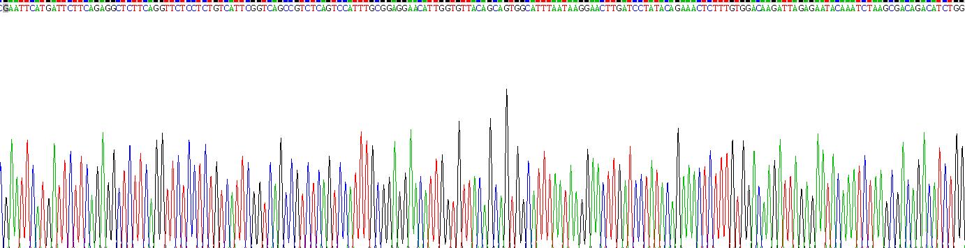 Recombinant Coupling Factor 6 (CF6)