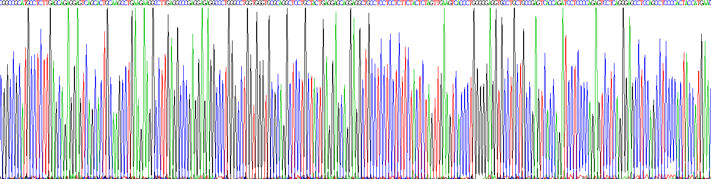 Recombinant Melanoma Antigen Family A3 (MAGEA3)