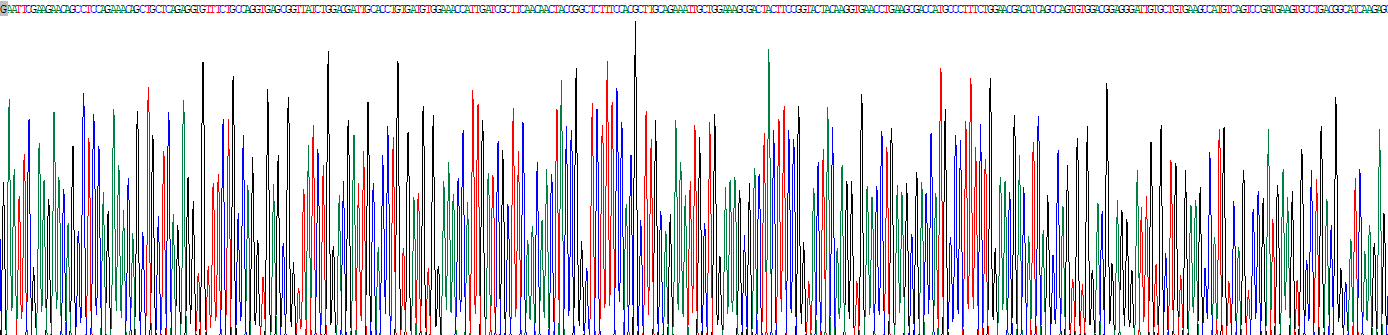 Recombinant ERO1 Like Protein (ERO1L)