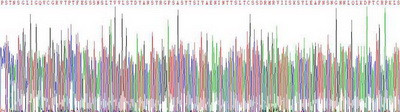 Recombinant CUB And Zona Pellucida Like Domains Protein 1 (CUZD1)