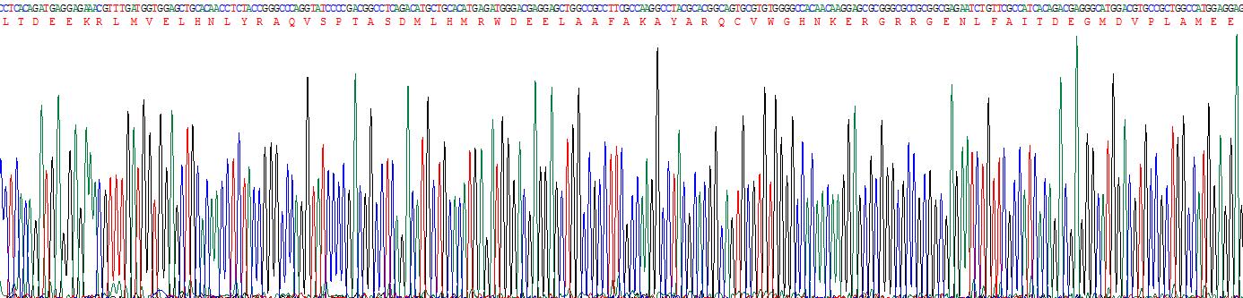 Recombinant Peptidase Inhibitor 16 (PI16)