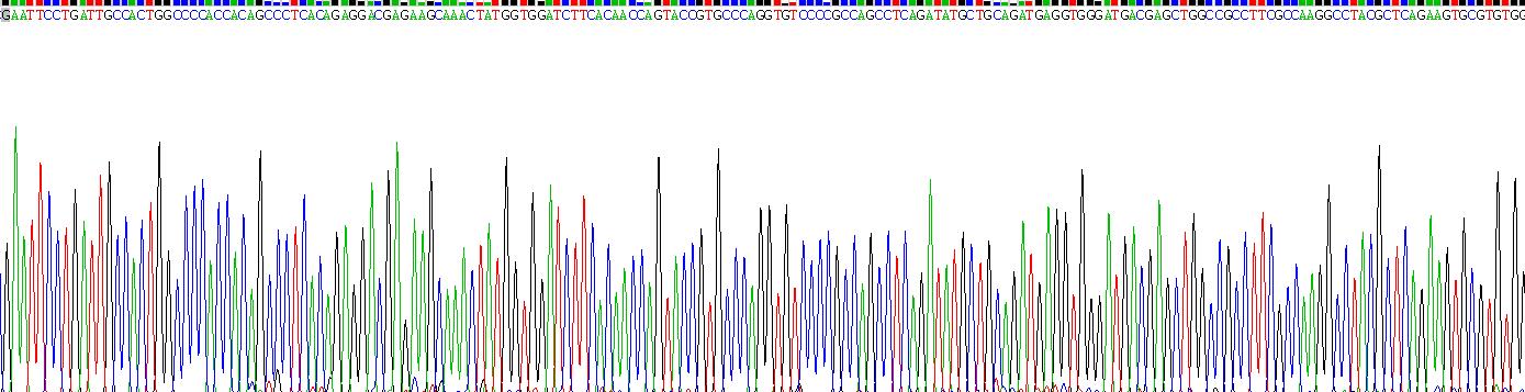 Recombinant Peptidase Inhibitor 16 (PI16)