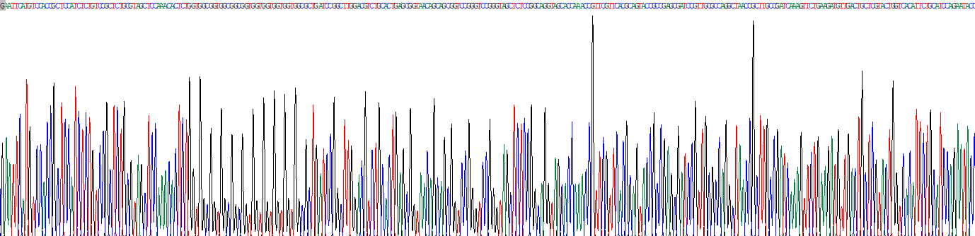 Recombinant Zinc Finger Protein 503 (ZNF503)