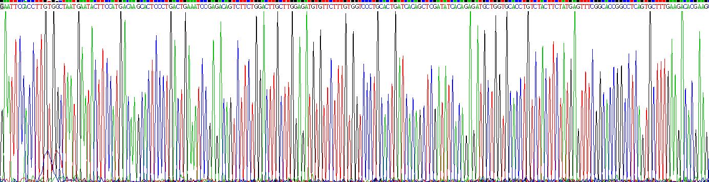 Recombinant Carboxylesterase 5A (CES5A)